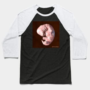 Human Embryo Baseball T-Shirt